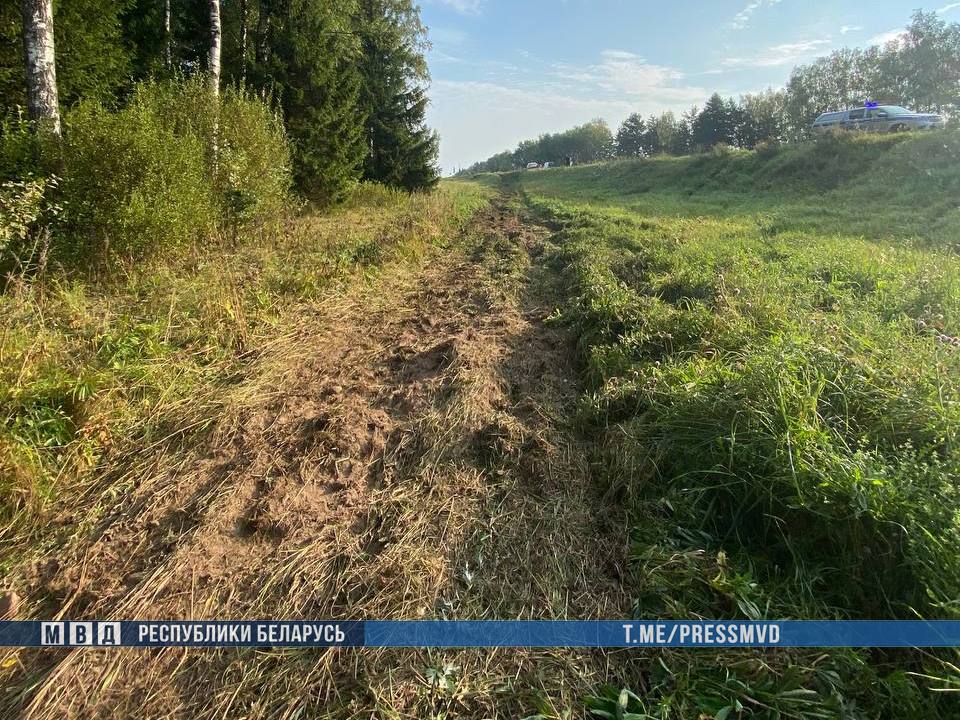 Автобус «Брест - Москва» попал в ДТП: есть пострадавшие