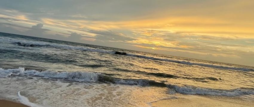 Изменения в визовом режиме для белорусов на Шри-Ланке