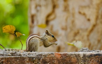 Смотровые площадки, якоря, корабельный колокол – как преобразилась набережная Западной Двины в Полоцке