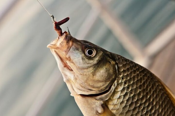 Фото из открытых источников (иллюстративное)