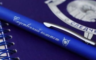 Обыски и аресты в Беларуси после участия в Дне воли за рубежом