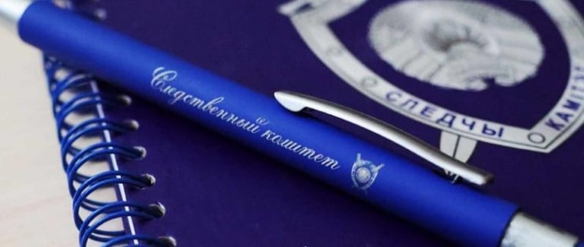 Обыски и аресты в Беларуси после участия в Дне воли за рубежом