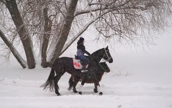 Пока декабрь в Витебске теплее обычного на 2 градуса