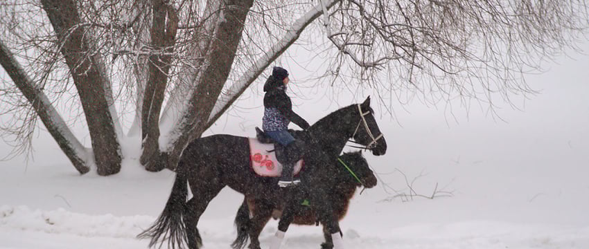 Пока декабрь в Витебске теплее обычного на 2 градуса