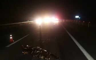 Трагедия на М1: женщину сбила фура, а затем переехала легковушка