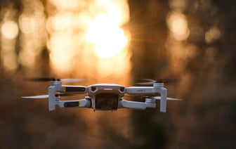 ГПК: трое беларусов напали на пограничника и были задержаны