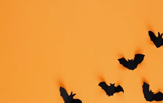 В Полоцке начала работать Новогодняя лавка Деда Мороза