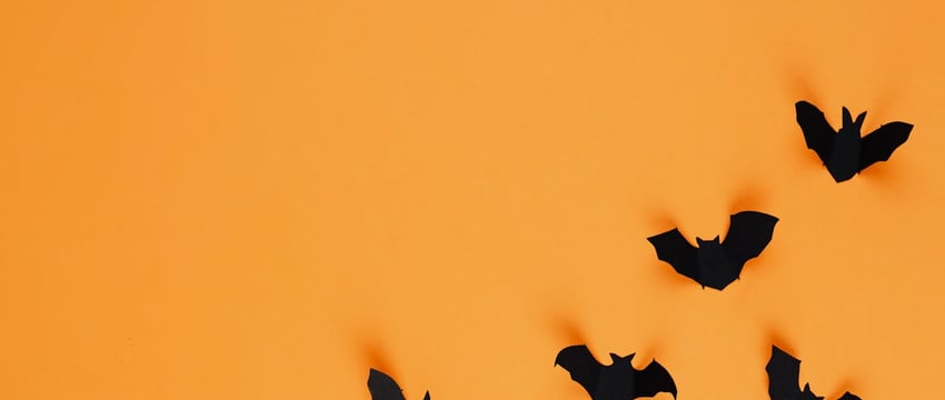 В Полоцке начала работать Новогодняя лавка Деда Мороза