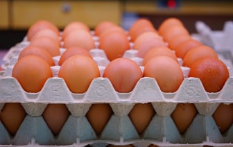 +20 миллионов яиц — Витебская область нарастила производство яиц на 30%