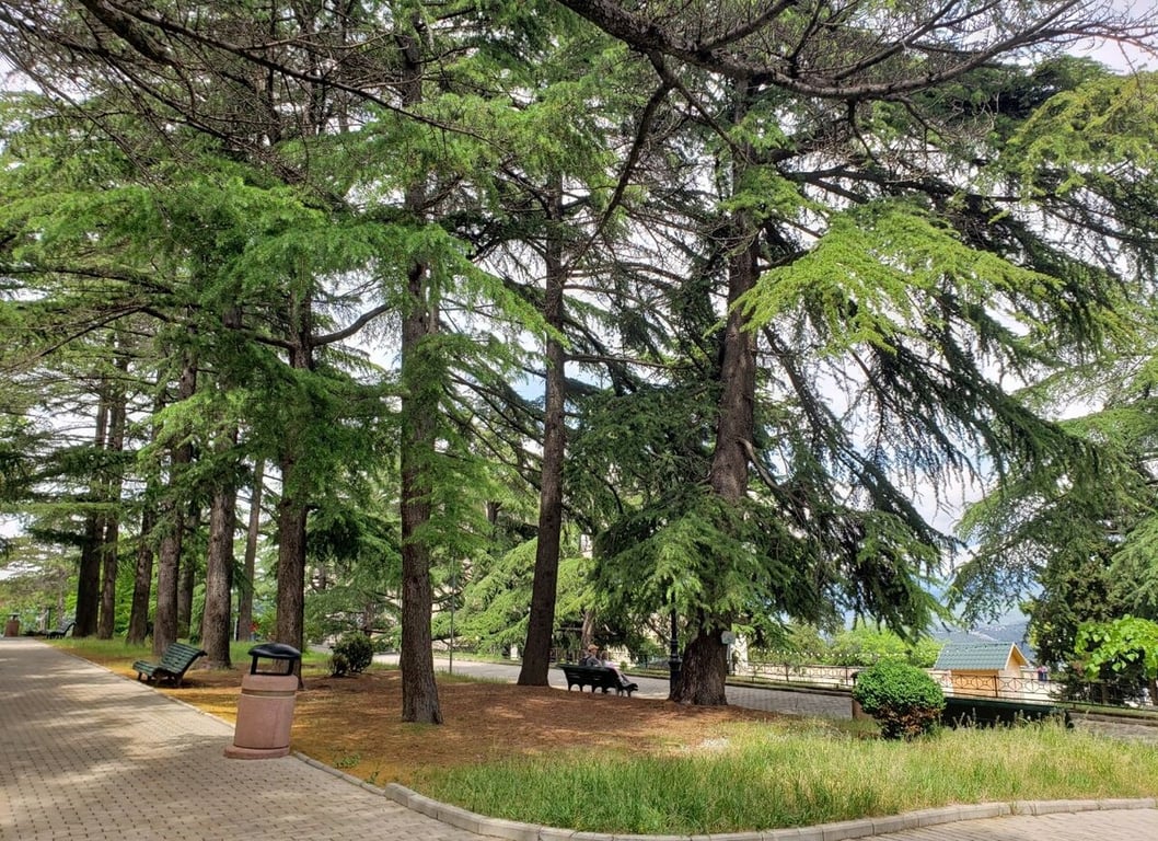 В Грузию на Buick Encore. Семья из Беларуси проехала 6 600 км — во сколько обошлось такое путешествие?