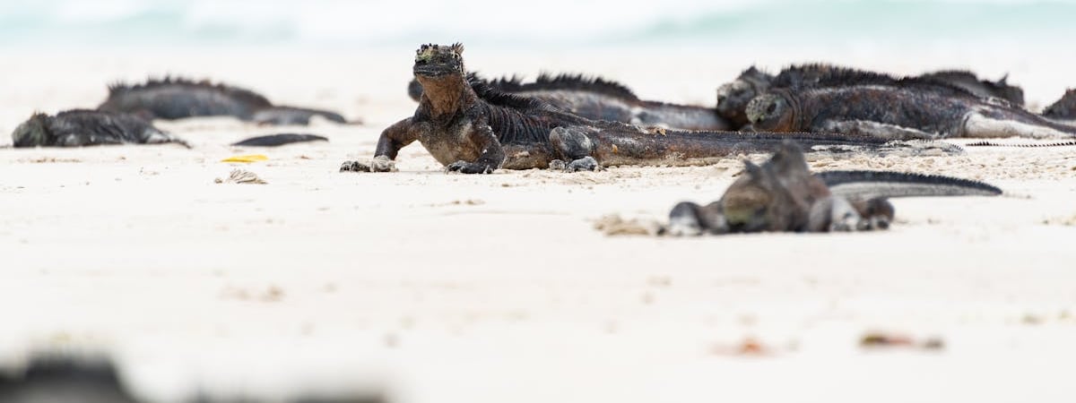 США пригрозили Турции отключением от SWIFT