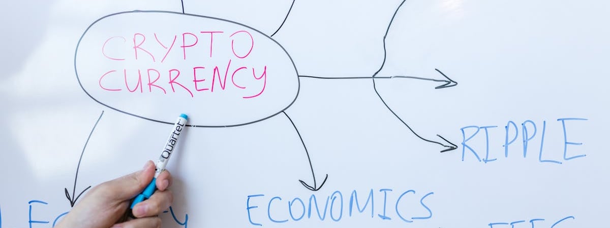 МАРТ прошерстило магазины сети «Светофор» и в каждом из них выявило нарушения