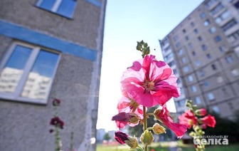 В Гомеле пенсионер сходил «налево» и стал отцом. Ему назначили алименты