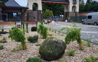 Беловежская пуща преображается