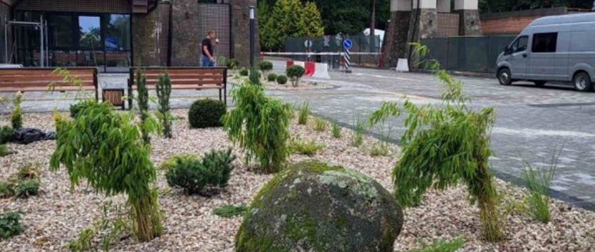 Беловежская пуща преображается