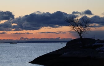 Минфин 27 декабря проведет первый обмен евробондов на внутренние облигации Беларуси