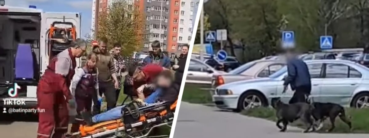 Нападение бойцовских собак в Минске