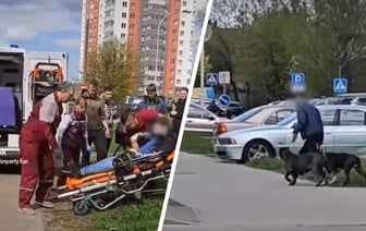Нападение бойцовских собак в Минске