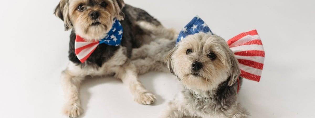 США предостерегли десятки компаний от помощи России с поставками военных товаров