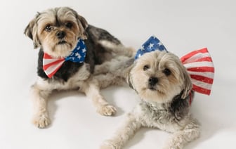 США предостерегли десятки компаний от помощи России с поставками военных товаров