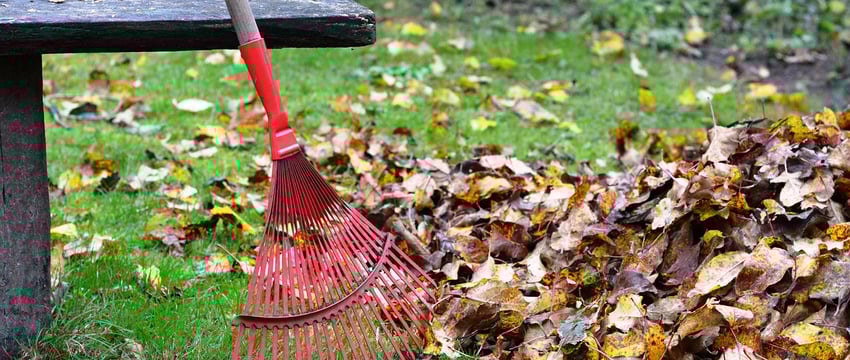 Витебский горисполком призывает горожан к активному участию в месячнике по санитарной очистке. ЖЭУ должны выдавать инвентарь