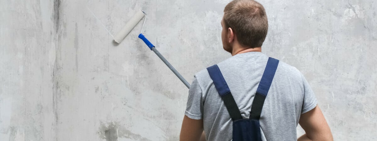 Зачем грунтовать стены перед покраской? Вот как выбрать качественный состав — Полезно