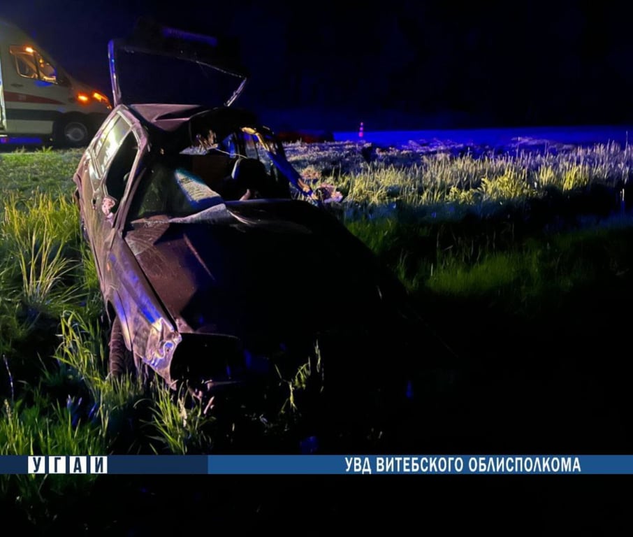 20-летний водитель Volkswagen погиб при наезде на лося на трассе М8