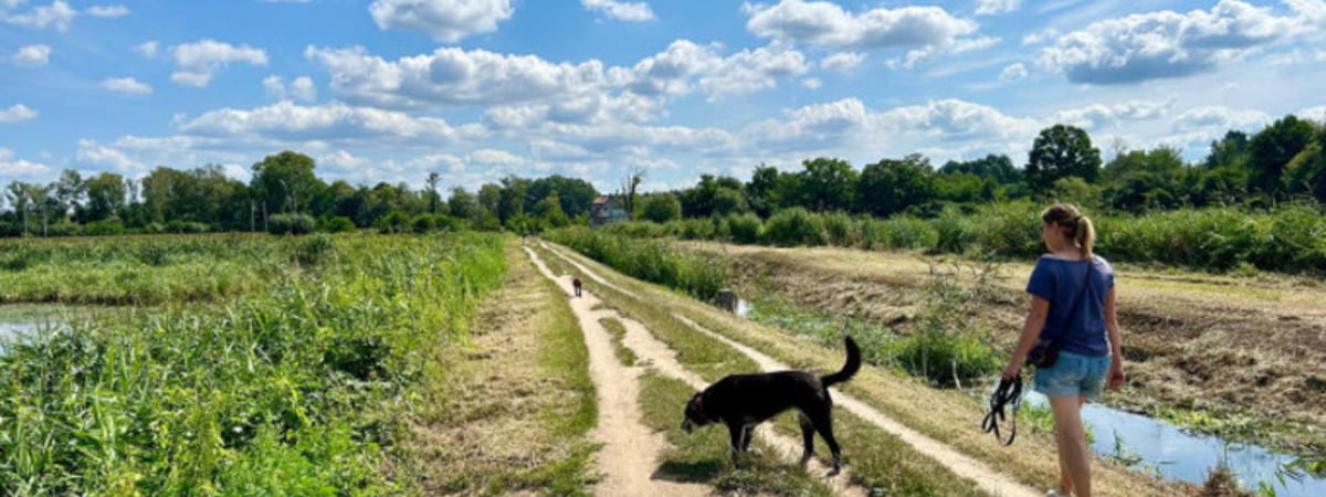 Наслаждайтесь! Какой будет неделя с 5 по 11 августа