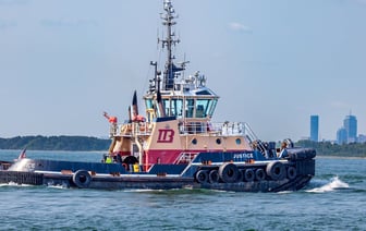 Минюст лишил лицензии еще двух адвокаток