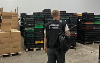 Компания, закупающая ягоды и грибы, не заплатила 2 млн рублей налогов