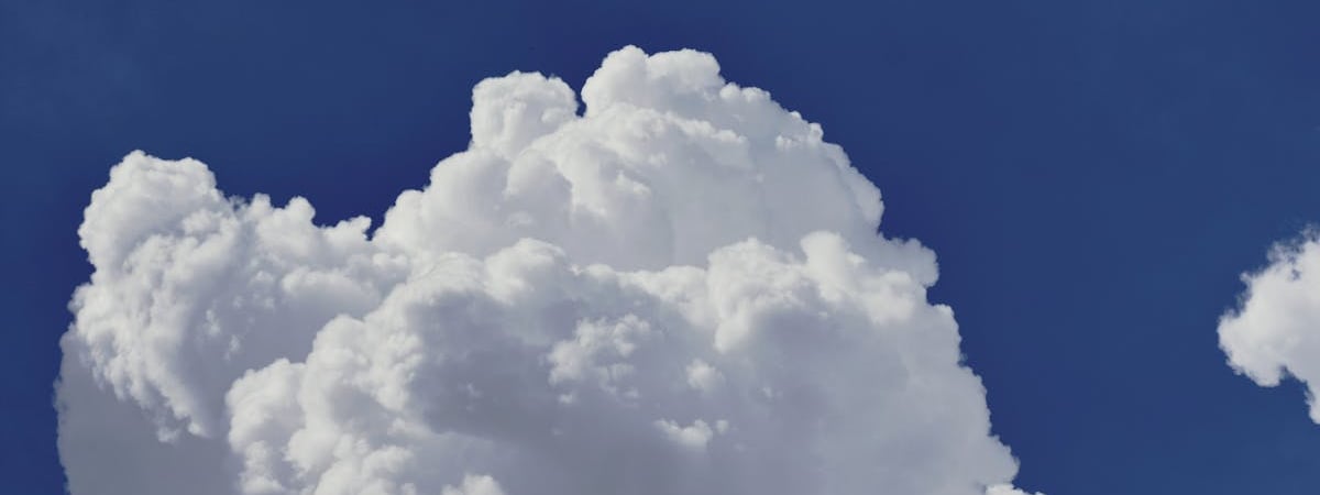 Польша предложила НАТО взять под защиту небо над Западной Украиной — Bild