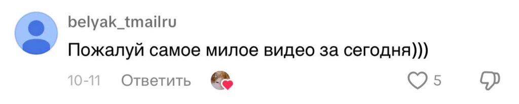 комменты к дворнику с собакой