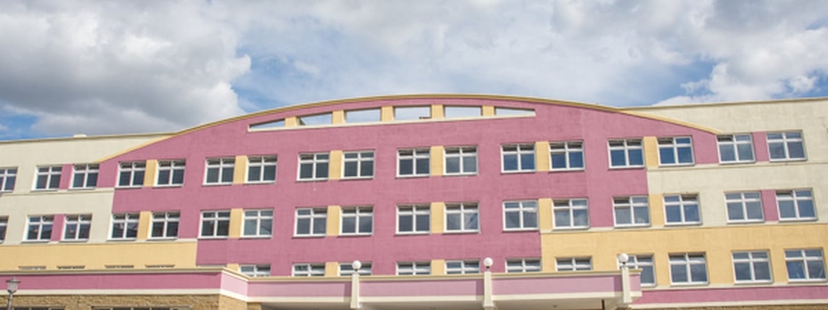 В школах Беларуси появится новый факультатив — что будут изучать дети