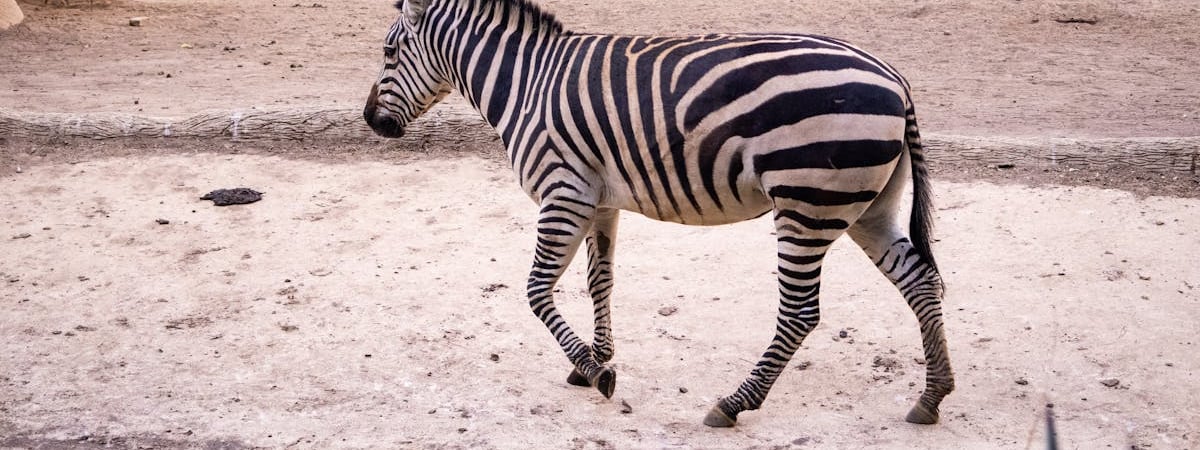 Золотовалютные резервы Беларуси в июне 2024 года снизились на $52,9 млн.