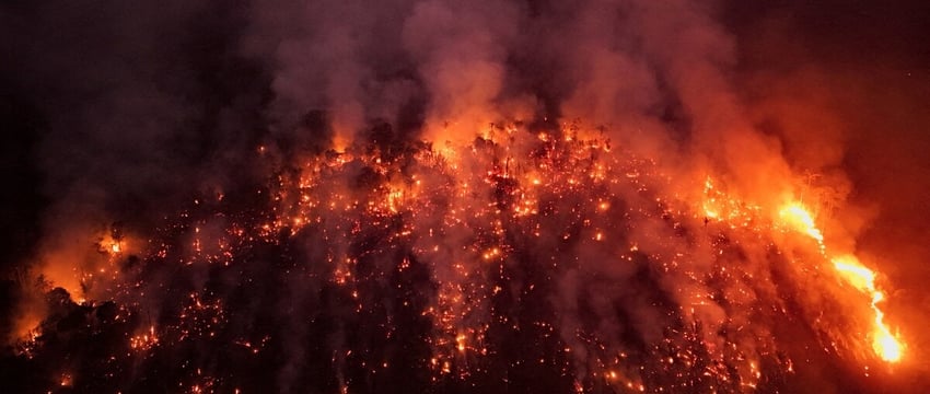Фото: Южная Америка охвачена пламенем - рекордное количество лесных пожаров