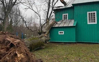 В Каменецком районе дерево упало на церковь