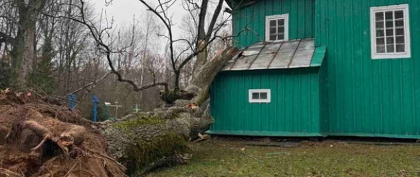 В Каменецком районе дерево упало на церковь