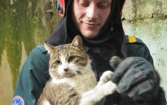 Брестские спасатели помогли коту, который застрял между бетонными плитами жилого дома