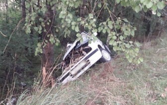 В Брестской области автомобиль вылетел в кювет и врезался в дерево. Водитель погиб