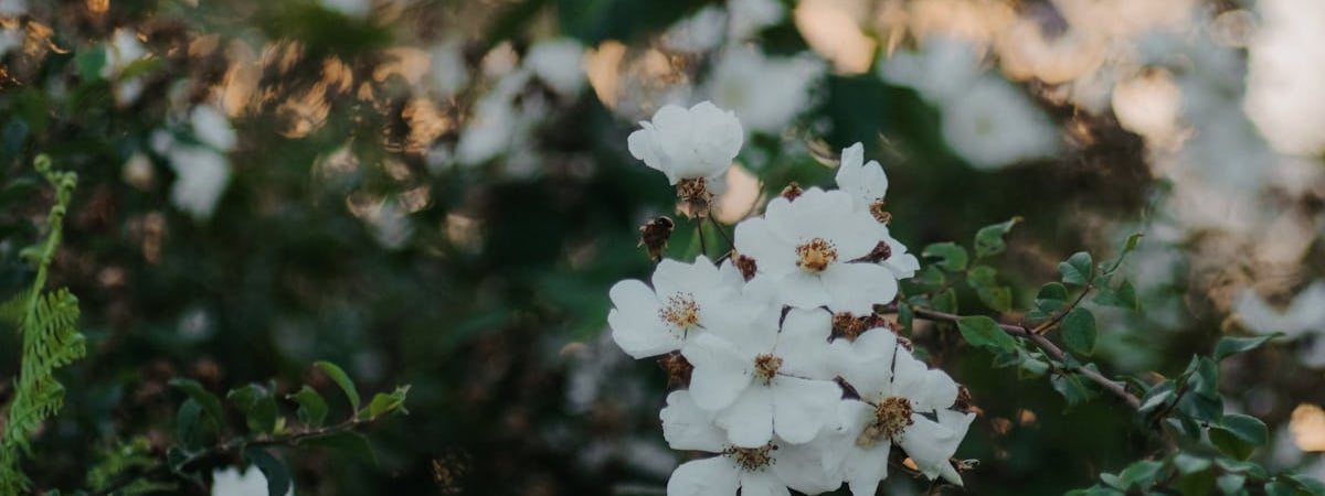 Крупнейший оборонный концерн Германии заявил о невиданном росте продаж