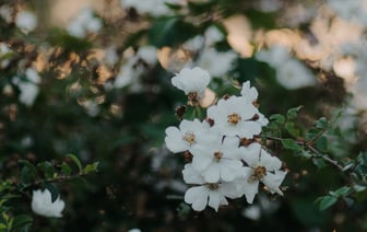 Крупнейший оборонный концерн Германии заявил о невиданном росте продаж