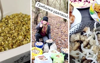 Белорусы похвастались ведрами “пищи богов”. Они признак окончания грибного сезона? — Видео