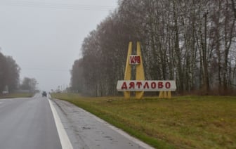 В Дятлово многодетная мать решила обналичить семейный капитал — что было дальше