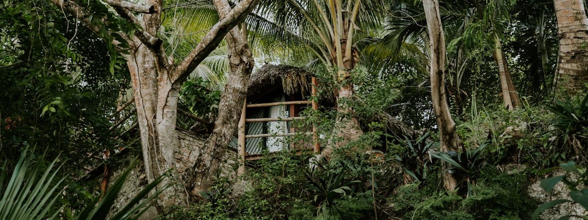 Голосование по помощи Украине в Конгрессе США могут перенести еще на несколько недель