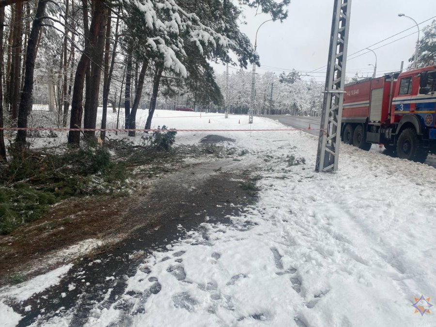 В МЧС рассказали о последствиях непогоды на Брестчине