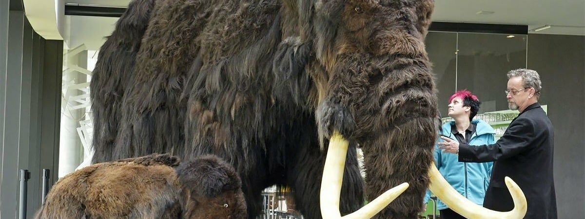 Ученые объявили о прогрессе в воскрешении мамонта