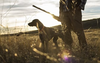 В Беларуси объявили старт весеннего сезона охоты на птицу. Когда и на кого разрешили идти в лес?
