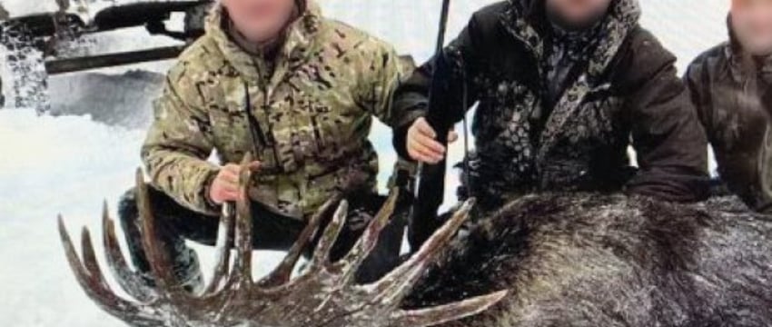 В МВД рассказали подробности истории охоты с вертолёта на медведя