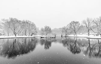 Сильная снежная буря в Боснии оставила десятки тысяч людей без света на Сочельник