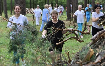 Гомель после урагана приходит в себя. Сегодня в городе субботник 